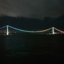 電気ウキ釣り 7