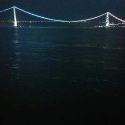 電気ウキ釣り 8