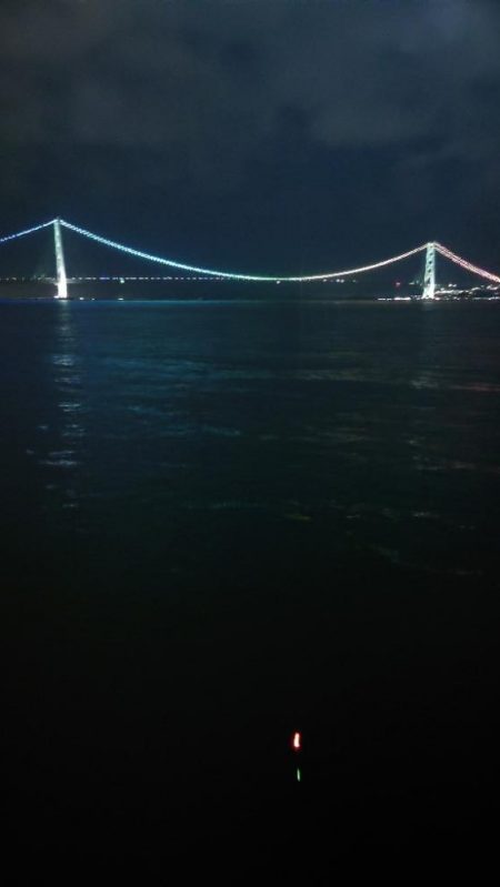 電気ウキ釣り 8