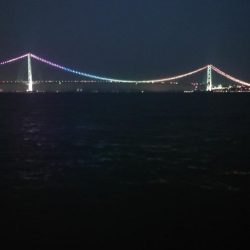 電気ウキ釣り 9