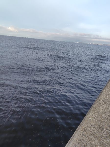 3年ぶりのタコ釣り