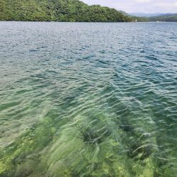 ロックフィッシュ