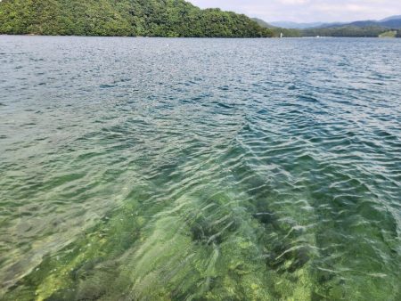 ロックフィッシュ