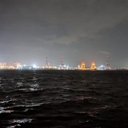 タコシーズン終了？