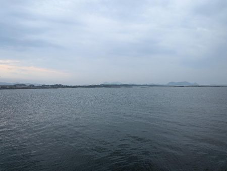 今日はピンクグロー