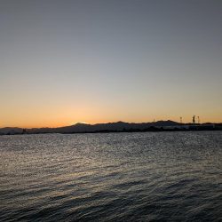 セリア恐るべし