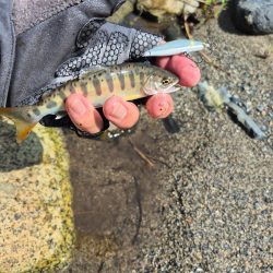 用事済ませて昼前に到着