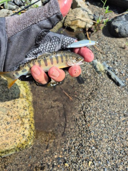 用事済ませて昼前に到着