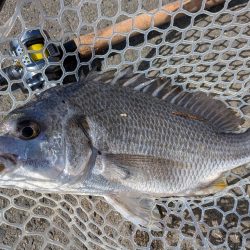 夜勤前広島チニング