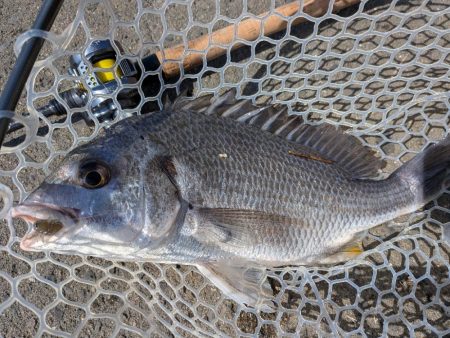 夜勤前広島チニング