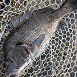 まるで真冬！激ムズ広島チニング