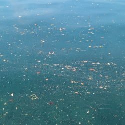 釣果以上の出会いに感謝