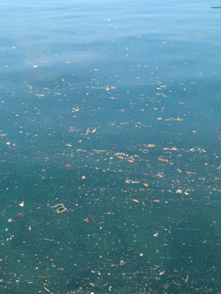 釣果以上の出会いに感謝