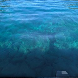 数出るようになってきた