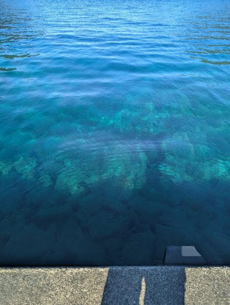 数出るようになってきた