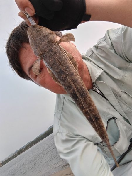 短時間釣行で釣れました!