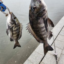 雨の中チニング