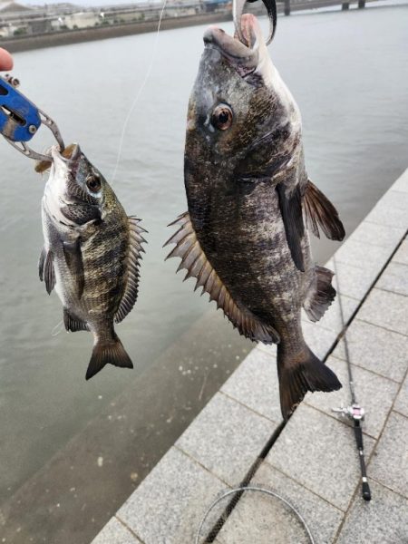 雨の中チニング