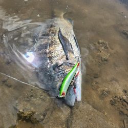 広島河川クロスウェイクチニング