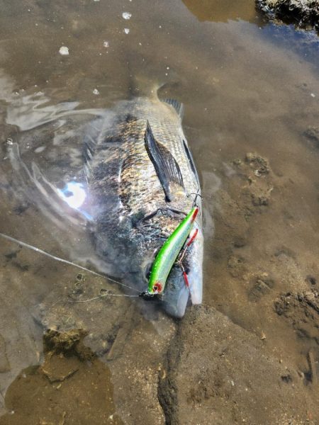広島河川クロスウェイクチニング