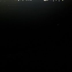 どハマり穴子釣り