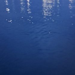 アナゴを求めて