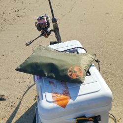 ちょい投げ五目釣り