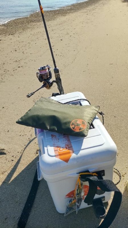 ちょい投げ五目釣り