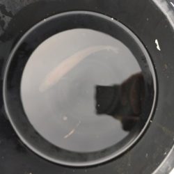 真夏のファミリー船キス