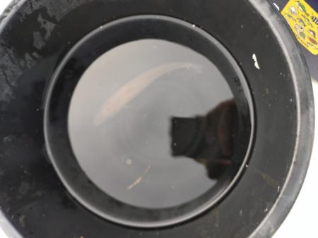 真夏のファミリー船キス