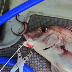 真夏のタイラバ