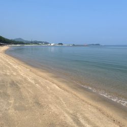 早朝のキス釣り行ってきました