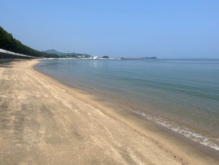 早朝のキス釣り行ってきました