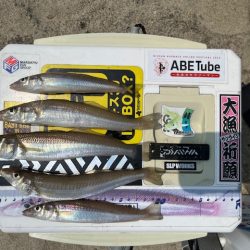 唐津のサーフで釣ってみました