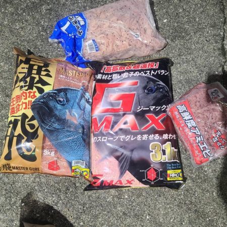 和歌山市江（吉丸渡船）でグレ釣り