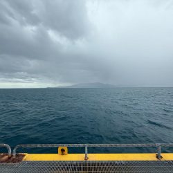 サゴシとツバス御一行