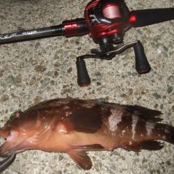 ぼちぼち厳しい