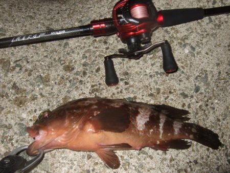 ぼちぼち厳しい