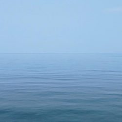 ソウダガツオ狙い