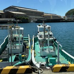 神谷荘さんでカゴ釣り