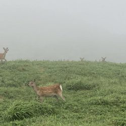 えりも岬で五目吊り！あの魚が釣れる！？