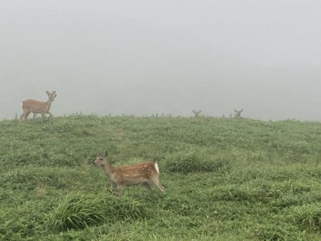 えりも岬で五目吊り！あの魚が釣れる！？