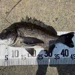 イチノ兄弟、釣果！