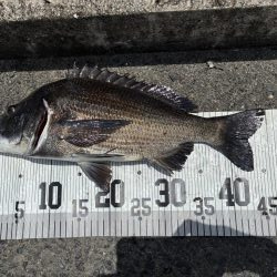 イチノ兄弟、釣果!