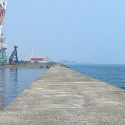 日ムラ激しい播磨新島のキス