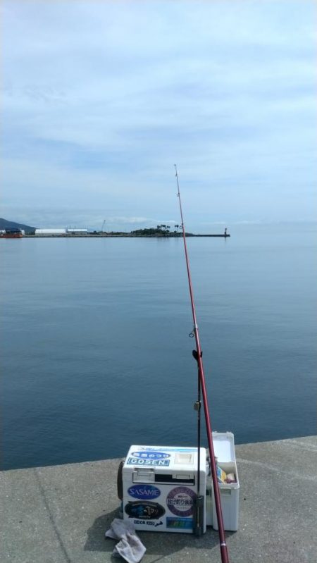 津名・志筑のキス調査