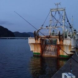 シーズン初の津居山釣行