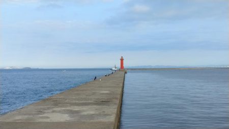 近場のキスが釣れません