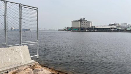 活性は高いけど小型がかなり増えたかも