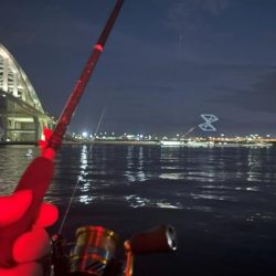 キス好調！サイズは小さい